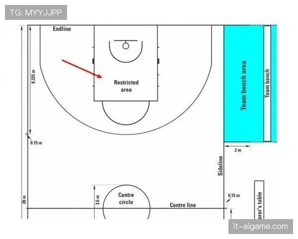 罚球规则：NBA与FIBA在判罚细节上的主要区别解析